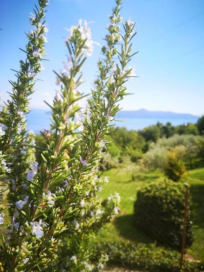 Apartment Apartman Marijeta Moscenicka Draga Croatia