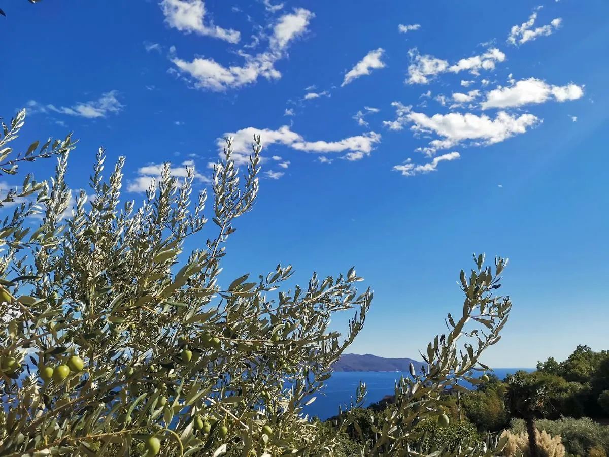 Apartman Marijeta Moscenicka Draga Croatia